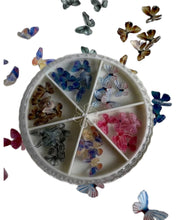 Lade das Bild in den Galerie-Viewer, Details colored butterflys
