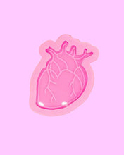 Load image into Gallery viewer, Heart anatomy MINI MOLD
